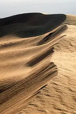 Désert de sable, Douz, 2005