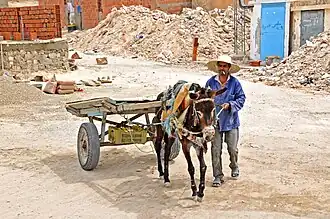 Attelé sur un chantier de construction (Métlaoui, 2012).