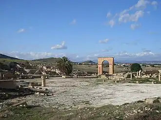 Image illustrative de l’article Pheradi Majus