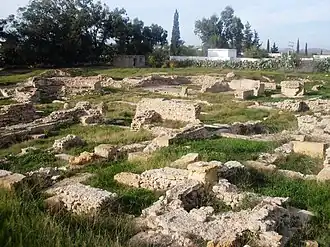 Image illustrative de l’article Uppenna