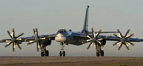Un Tu-95 sur la base