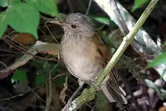 Description de cette image, également commentée ci-après