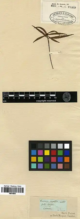 Description de cette image, également commentée ci-après