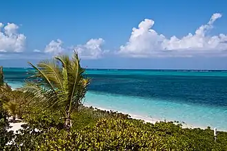 Plage de Turtle Cove, Providenciales