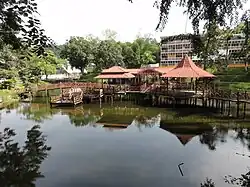 Turtle pond (la mare aux tortues).