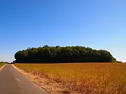 Tumulus du Gros Dognon.
