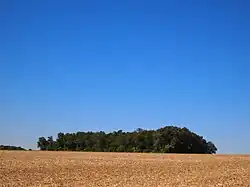 Tumulus du Vieux Breuil.