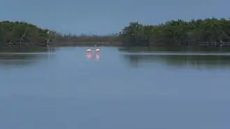 Lagune de las Salinas, Playa Larga