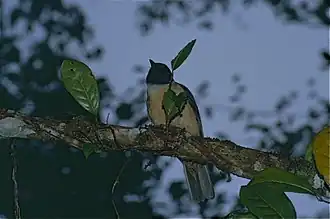 Description de cette image, également commentée ci-après