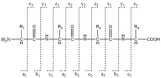 Types de fragmentation a, b, c et x, y, z