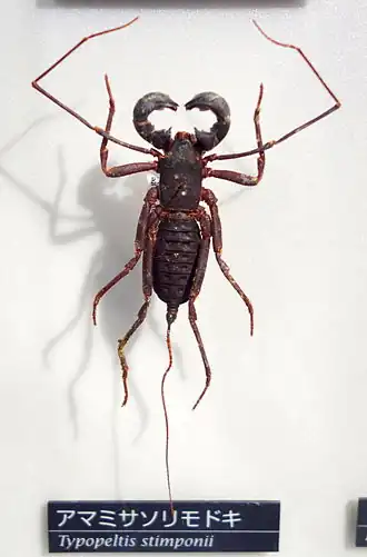 Description de cette image, également commentée ci-après