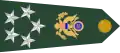 Épaulette du General of the Army de septembre 1959 à octobre 2014.