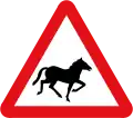 Chevaux sauvages