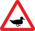 Oiseaux sauvages