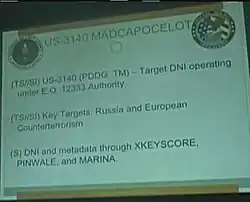 STORMBREW : MADCAPOCELOT