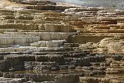 Photographie d'un ensemble de terrasses formant les Mammoth Hot Springs.