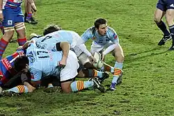 Description de l'image USAP vs Rovigo - 17 janvier 2013.JPG.
