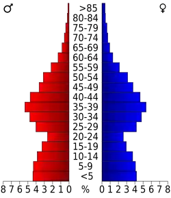 Schéma représentant la population du comté, par tranche d'âge. En rouge, à gauche, les femmes, en bleu à droite, les hommes.