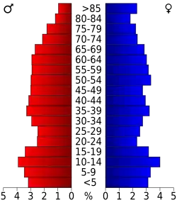 Schéma représentant la population du comté, par tranche d'âge. En rouge, à gauche, les femmes, en bleu à droite, les hommes.