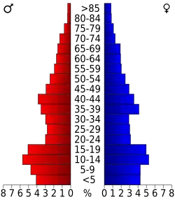 Schéma représentant la population du comté, par tranche d'âge. En rouge, à gauche, les femmes, en bleu à droite, les hommes.