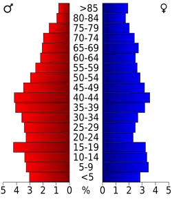Schéma représentant la population du comté, par tranche d'âge. En rouge, à gauche, les femmes, en bleu à droite, les hommes.