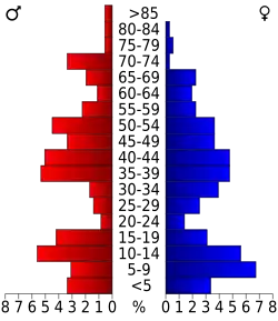 Schéma représentant la population du comté, par tranche d'âge. En rouge, à gauche, les femmes, en bleu à droite, les hommes.