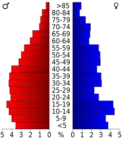 Schéma représentant la population du comté, par tranche d'âge. En rouge, à gauche, les femmes, en bleu à droite, les hommes.