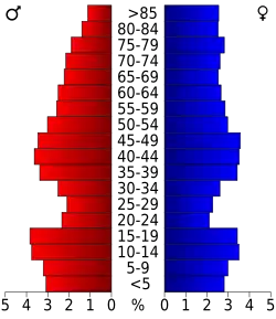 Schéma représentant la population du comté, par tranche d'âge. En rouge, à gauche, les femmes, en bleu à droite, les hommes.