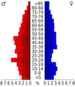 Schéma représentant la population du comté, par tranche d'âge. En rouge, à gauche, les femmes, en bleu à droite, les hommes.