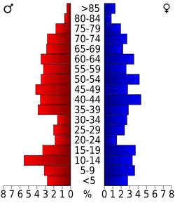 Schéma représentant la population du comté, par tranche d'âge. En rouge, à gauche, les femmes, en bleu à droite, les hommes.