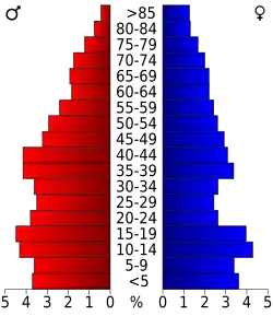Schéma représentant la population du comté, par tranche d'âge. En rouge, à gauche, les femmes, en bleu à droite, les hommes.