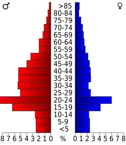 Schéma représentant la population du comté, par tranche d'âge. En rouge, à gauche, les femmes, en bleu à droite, les hommes.