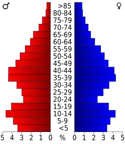 Schéma représentant la population du comté, par tranche d'âge. En rouge, à gauche, les femmes, en bleu à droite, les hommes.