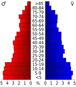 Schéma représentant la population du comté, par tranche d'âge. En rouge, à gauche, les femmes, en bleu à droite, les hommes.