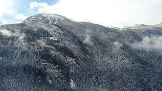 Forêt ubac de la commune d'Orelle, ZNIEFF II.