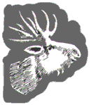 Image illustrative de l’article 19. Unterseebootsflottille