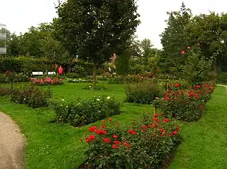 Image illustrative de l’article Roseraie d'Uetersen