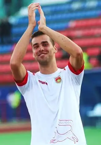 Image illustrative de l’article Haris Handžić