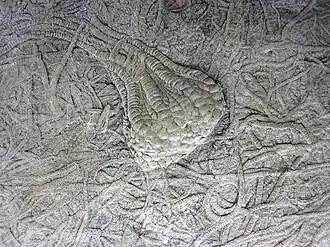 Description de cette image, également commentée ci-après