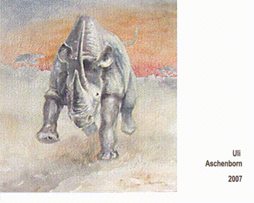 Vidéo b : Rhinocéros attaquant au coucher du soleil ou non?, les couleurs changent quand le spectateur se déplace, technique « caméléon » (art cinétique), 2007, 100 × 100 × 4&nbsp;cm