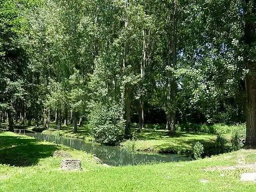 La rivière, entourée de peupliers, rue de Mouy.