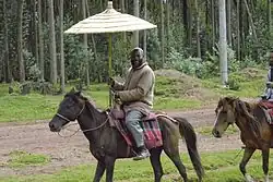 Cavalier à cheval vu de profil portant un très gros parapluie au-dessus de sa tête.