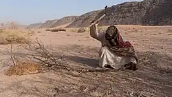 Description de cette image, également commentée ci-après