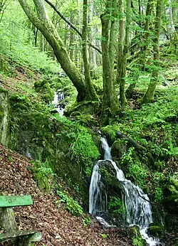 Un affluent de la Sûre à Neimillen (Bilsdorf).