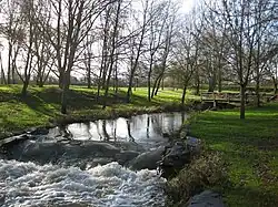 Un ruisseau tumultueux.