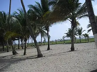 Boca de Aroa (Venezuela)