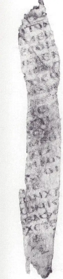 Description de l'image Uncial 0226 r.jpg.