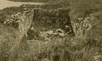 Photographie en noir et blanc de murs arasés envahis par des herbacées.