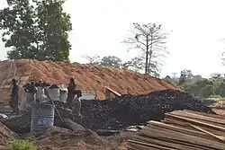 Ouvriers fabriquant du charbon de bois.