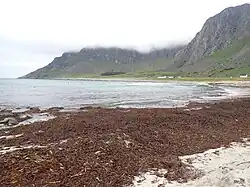 Plage sur Unnstadvika